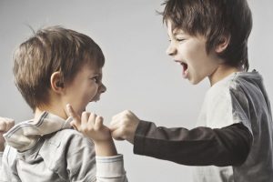 La agresividad en el niño