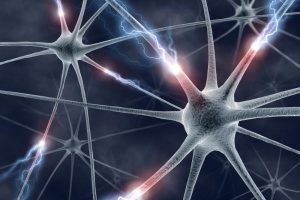 Niños autistas tienen más neuronas